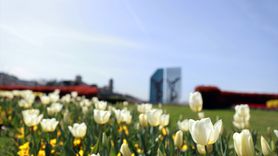 Trabzon İlkbahar ile Canlanıyor