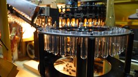 Türk İhracatçılardan Ayçiçeği Yağına Küresel Taleplere Yanıt