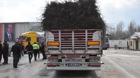 Van'da Çiftçilere 1 Milyon 390 Bin Meyve Fidanı Dağıtıldı