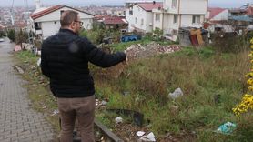 Yalova'da Sahipsiz Köpeklerin Saldırısında Çocuk Yaralandı