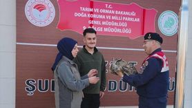 Yozgat'ta Yaralı Puhu Kuşu Tedavi Altına Alındı