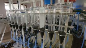 Amasya'da Mersin Balığı Sağımı ve Havyar Üretimi Başladı