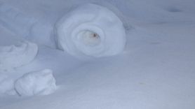 Amasya'da Nadir Görülen Kar Ruloları Yeniden Ortaya Çıktı