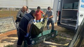 Antalya'da Çay Kenarında Erkek Cesedi Bulundu