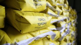 Bingöl'de Çiftçilere Destek: Yüzde 70 Hibeli Tohum Dağıtımı