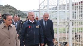 Burdur'da Sokak Hayvanları İçin Çözüm Arayışı