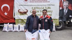 Çatalca'da 22 Ton Çeltik Tohumu Dağıtıldı