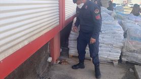 Diyarbakır'daki Yangın Söndürüldü, Üç Kedi Yavrusu Kurtarıldı