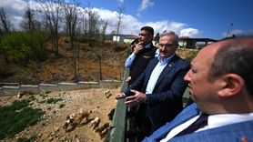 Düzce'de Sahipsiz Hayvanlar İçin Önemli Ziyaret