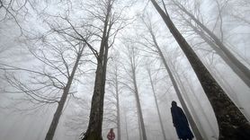 Düzce Yaylalarında Kış ve Bahar Manzarası