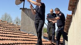 Edirne'de Mahsur Kalan Kedi İtfaiye Ekipleri Tarafından Kurtarıldı