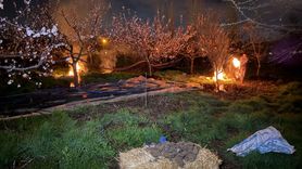 Erzincan'da Kayısı Üreticileri Gece Nöbette