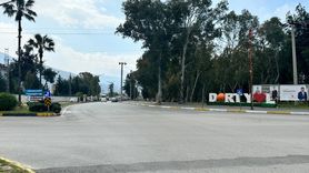 Hatay'da Kuduz Riski: Dörtyol'da Mahalle Karantinaya Alındı