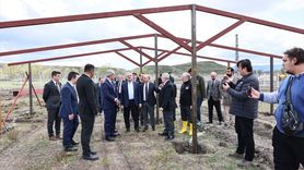 İçişleri Bakan Yardımcısı Karaloğlu Çorum'da Hayvan Koruma Çalışmalarını İnceledi