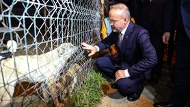 Iğdır'da Sokak Güvenliği Üzerine Konuşma