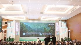 İmamali Rahman'dan İklim Değişikliği İçin Acil Yardım Çağrısı