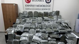 İstanbul'da Petshopta Uyuşturucu Operasyonu: 4 Gözaltı