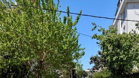 İstanbul ve Çevre Illerde Deprem Alarmı