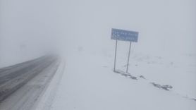 Kars ve Ardahan'da Kar Yağışı Etkili Oluyor