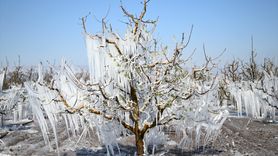 Kayseri Çiftçileri Zirai Dona Karşı Buzla Koruma Yöntemleri Uyguluyor