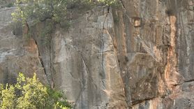 Kayseri'de Mahsur Kalan Keçiler İtfaiye Ekiplerince Kurtarıldı