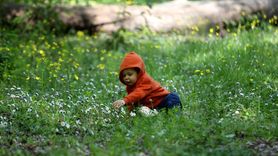 Kırklareli'nin Longoz Ormanları İlkbahar Renkliliğiyle Göz Kamaştırıyor