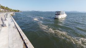 Köyceğiz Gölü'nde Polen Yoğunluğu İnceleniyor