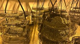 Küresel Uyuşturucu Ağına Operasyon: Orkinos-Bulut'un Detayları