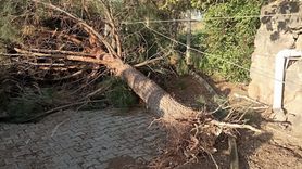 Mardin'de Hortum Olayı: Hasar Tespiti Başladı