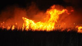 Mersin Göksu Deltası'nda Yangın Çıkışı