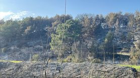 Muğla'da Tarım Arazisinden Ormana Sıçrayan Yangın Kontrol Altına Alındı