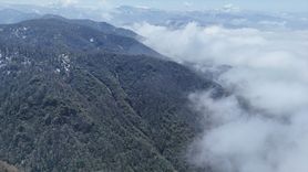 Ordu'da Sis Bulutlarıyla Görsel Şölen
