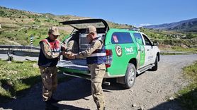 Siirt'te Yabani Hayvan Koruma Faaliyetleri Devam Ediyor