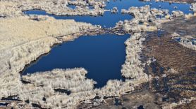 Sultan Sazlığı Milli Parkı'ndaki Yangın Kontrol Altına Alındı