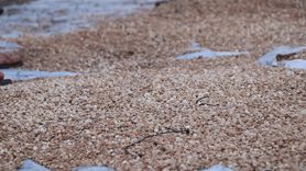 Suriye'de 4 Milyon Captagon Hap Ele geçirildi