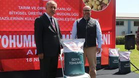 Tarım ve Orman Bakan Yardımcısı Polat'tan Zirai Don Açıklaması