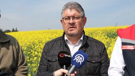 Tekirdağ'da Kanola İlaçlama Uyarısı