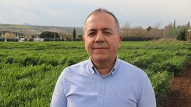 Trakya'da İklim Değişikliği ve Artan Böcek Popülasyonu Tarımı Tehdit Ediyor