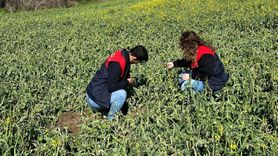 Trakya'da Tarımsal Don Etkisi ve Hasar Tespit Çalışmaları
