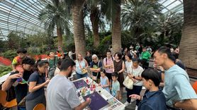 Tulipmania 2025: Singapur'da Lale Sergisi Açıldı