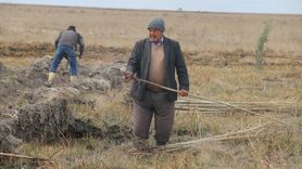 Tuz Gölü'nde Hatıra Ormanı Oluşturuldu