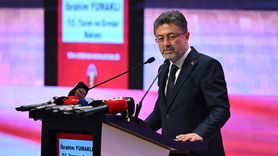 Veteriner Hekimlerin Rolü Artıyor: Sahipsiz Köpek Sorunu İçin Yeni Adımlar