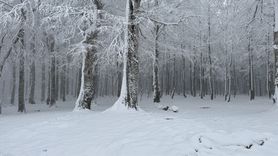 Yüksek Kesimlerde Kar Yağışı Etkili Oluyor