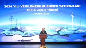 2024'te Yenilenebilir Enerji Alanında Rekor Kapasite