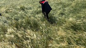 Adıyaman'da Dolu Yağışı Tarım Alanlarını Vurdu