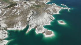 Adıyaman'daki Martı Adası: Yüzlerce Martının Yuvası