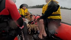Avustralya'nın New South Wales Eyaletinde Sel Felaketi: 3 Kişi Hayatını Kaybetti