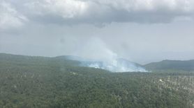 Aydın'daki Orman Yangını Kontrol Altına Alındı