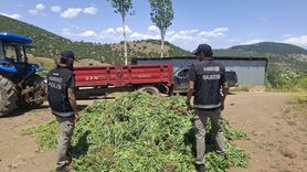 Balıkesir'de Hint Keneviri Yetiştiren 5 Zanlı Tutuklandı