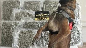 Balıkesir'de Uyuşturucu Operasyonu